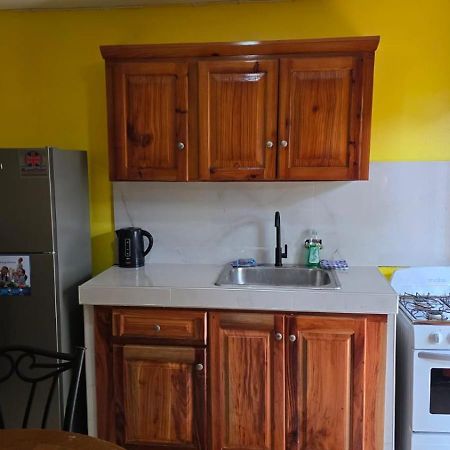 Wizzy Apartment White River Очо-Риос Экстерьер фото