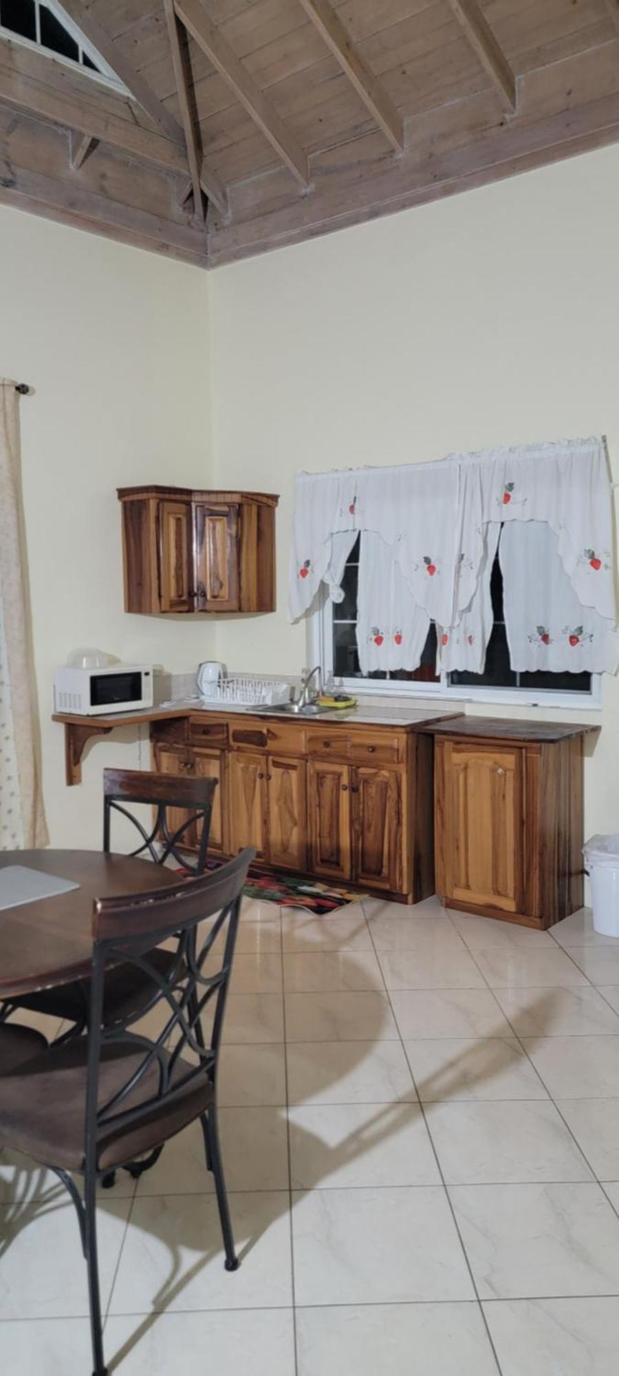 Wizzy Apartment White River Очо-Риос Экстерьер фото