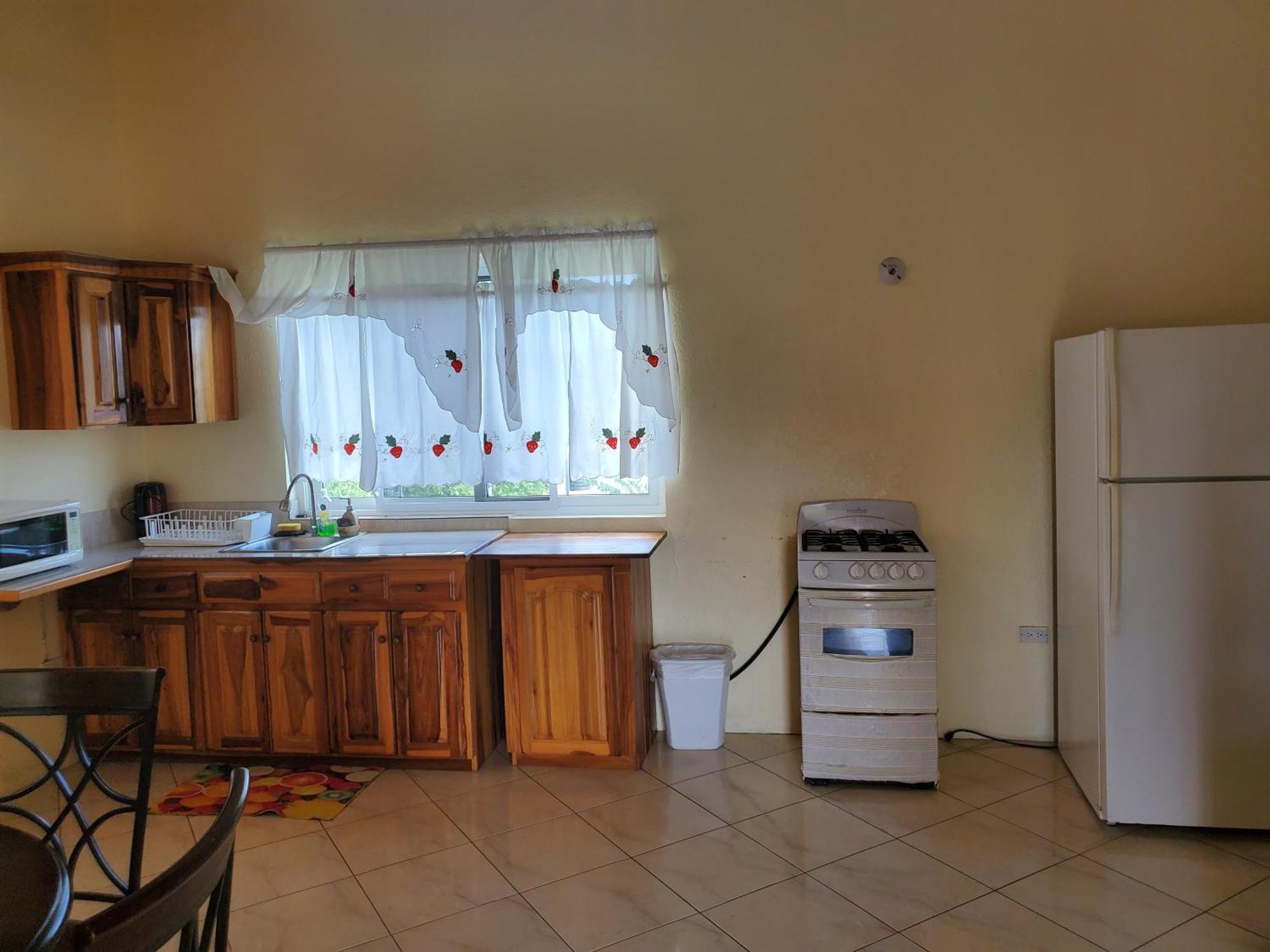 Wizzy Apartment White River Очо-Риос Экстерьер фото