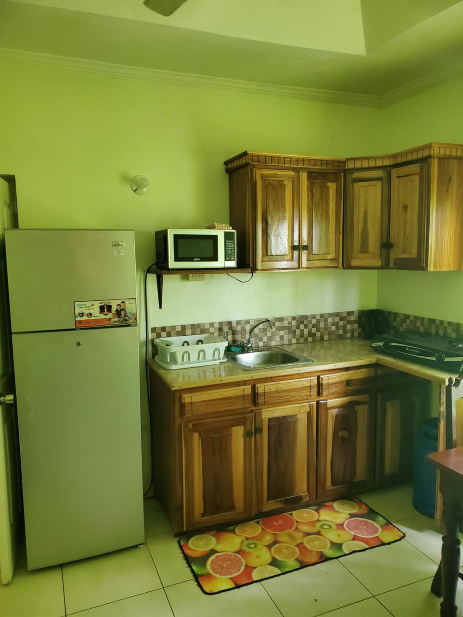 Wizzy Apartment White River Очо-Риос Экстерьер фото