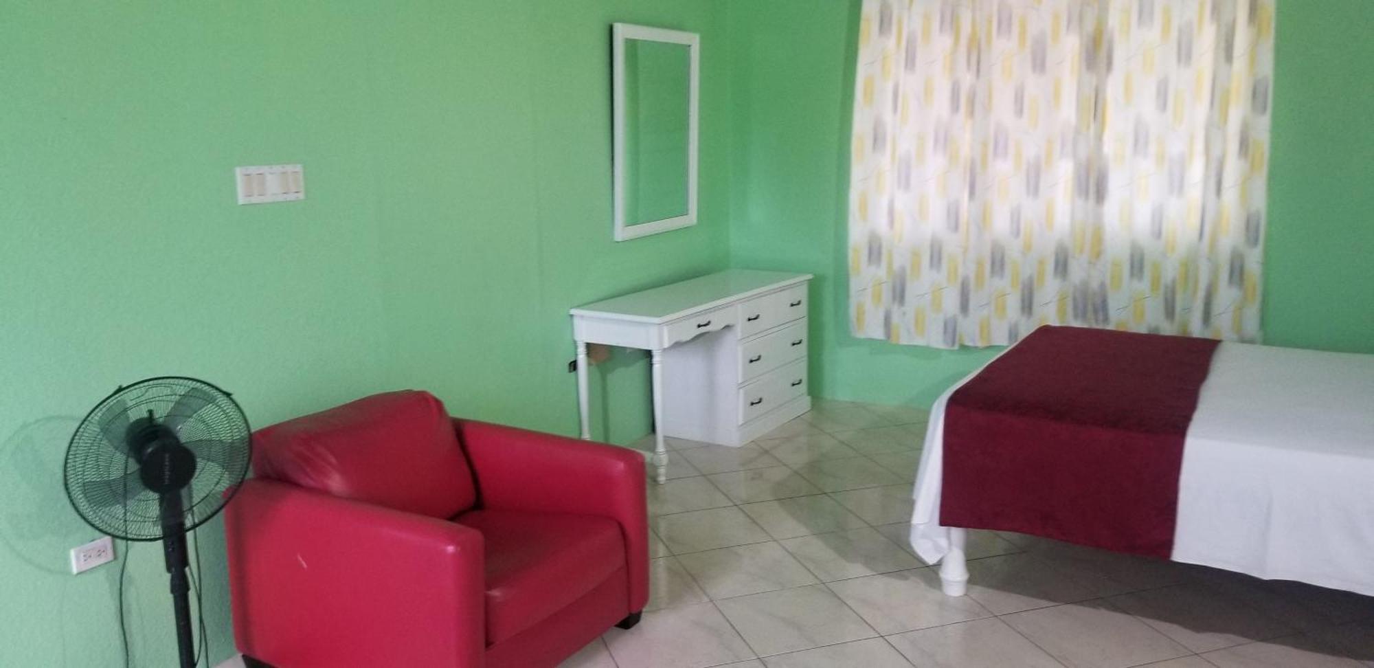 Wizzy Apartment White River Очо-Риос Номер фото