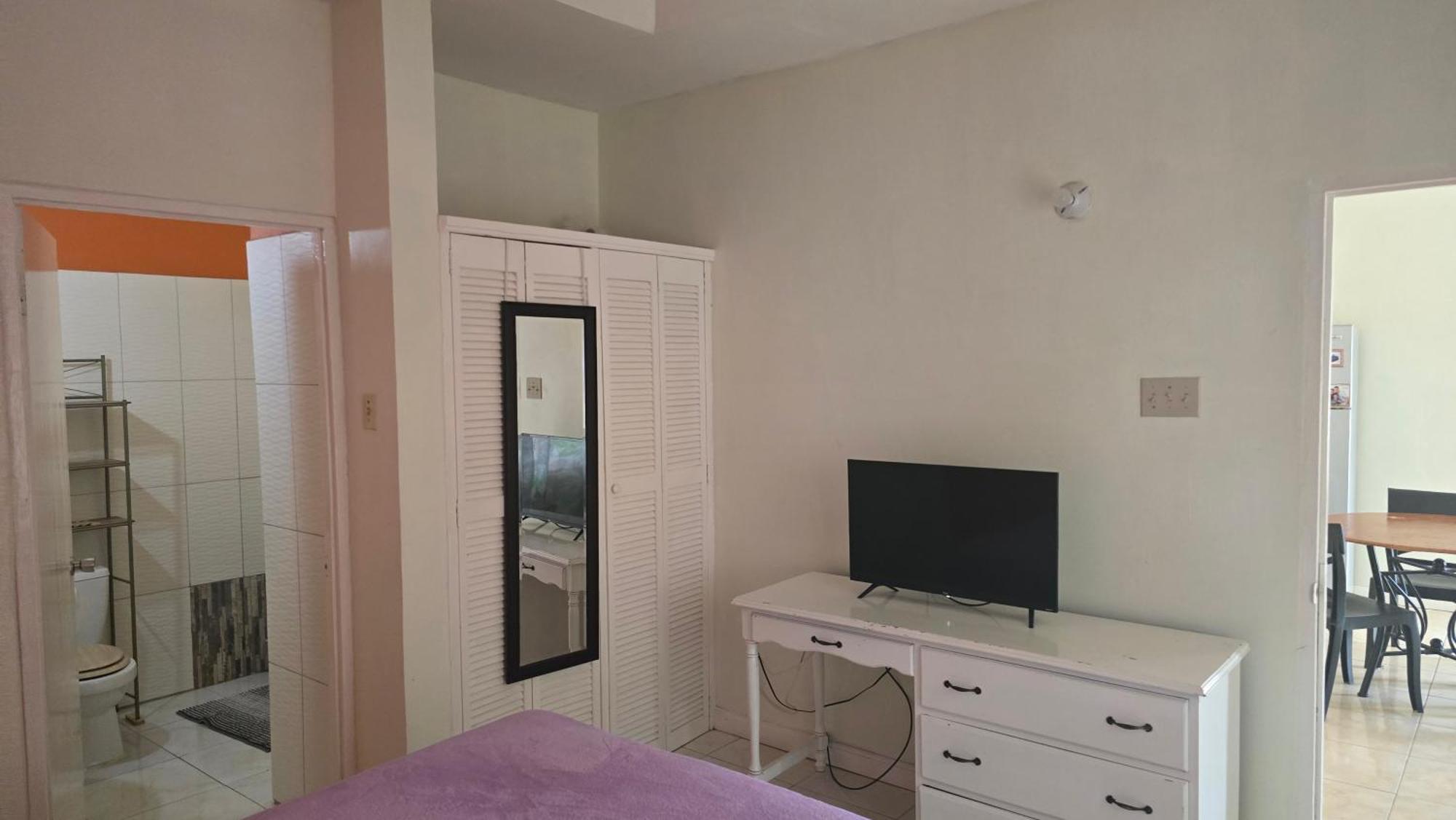 Wizzy Apartment White River Очо-Риос Экстерьер фото